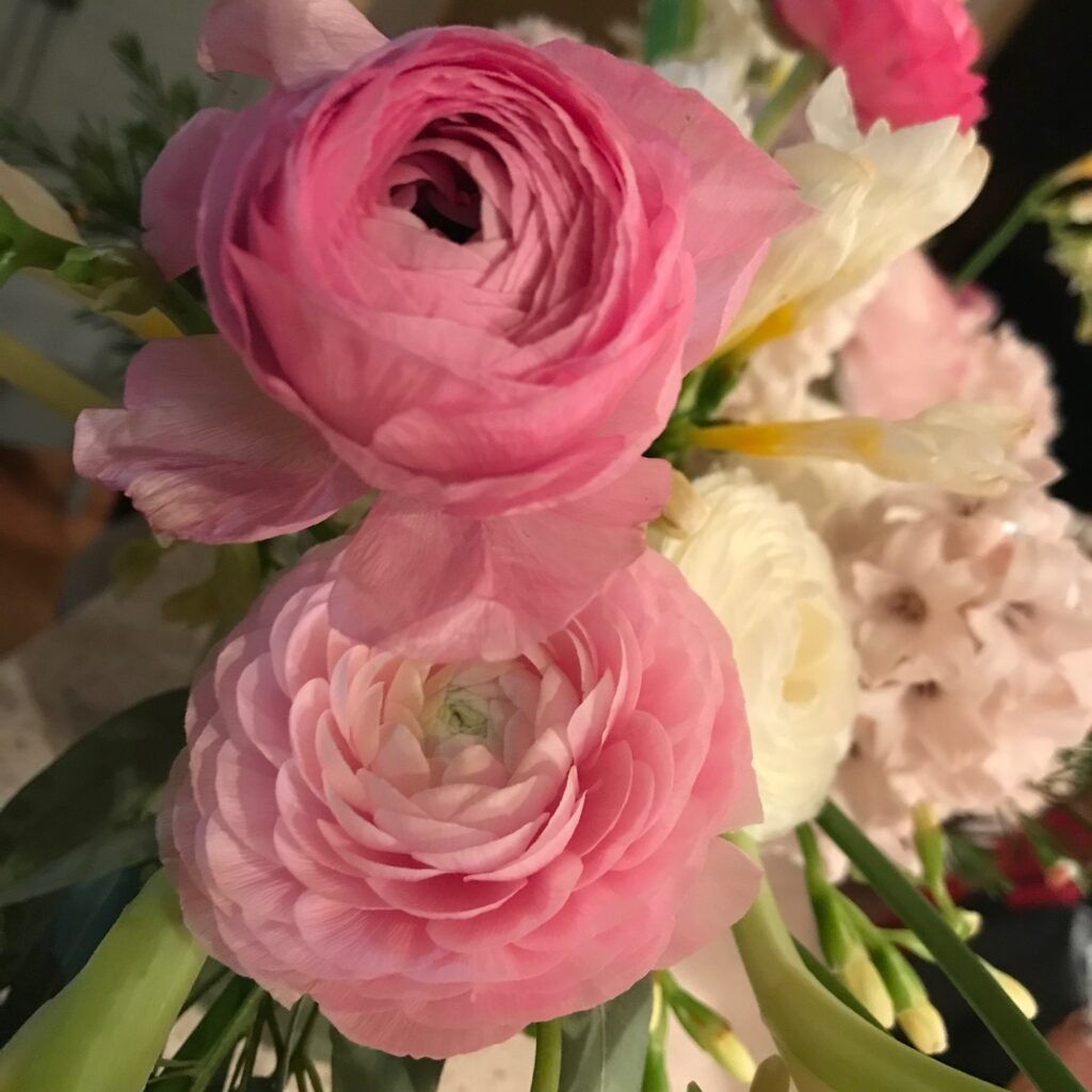 fantasyfloralva.com ranunculus love flowers