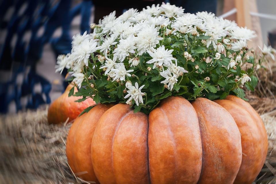 https://30seconds.com/mom/tip/5030/Creative-Fall-Decor-How-to-Combine-Pumpkins-Mums-for-Autumn-Decorating