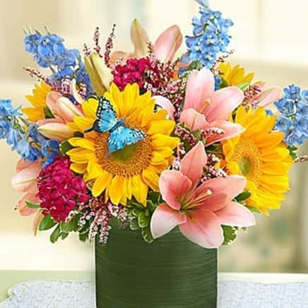 Summer Flowers