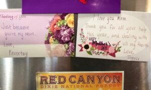 Card messages on Margie's fridge