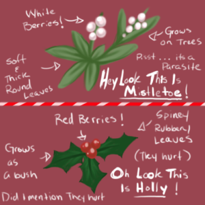 Holly versus Mistletoe